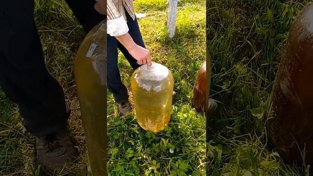 Вода для полива и кеги от пива. смотреть онлайн