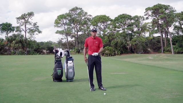 Tiger Woods: How to Hit a Stinger | TaylorMade Golf смотреть онлайн