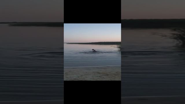 Плаваю на даче в водохранилище, часть 2 смотреть онлайн