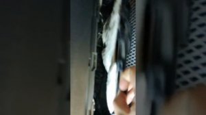 Перестали гореть туманки тойота приус 30 кузов