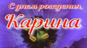 КАРИНА, С ДНЕМ РОЖДЕНИЯ
