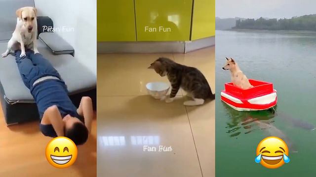 Самые Смешные Котики и Собаки 🐱🐶 Смешные Животные 2023 😂 Часть 5 смотреть онлайн