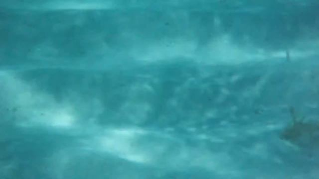 Carnival Pride cruise video's смотреть онлайн