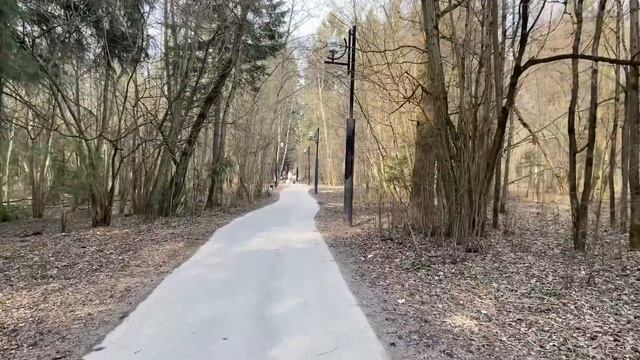 АМСТАФФ и БОКСЁР / ЁЖИК В ЗУБАХ БЕСПОВОДОЧНОГО ЛЕСНОГО ОХОТНИКА смотреть онлайн