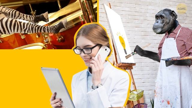 Что, если все млекопитающие станут разумными? смотреть онлайн