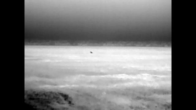 лисица регулирование численности смотреть онлайн