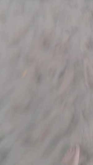 рутьюб
