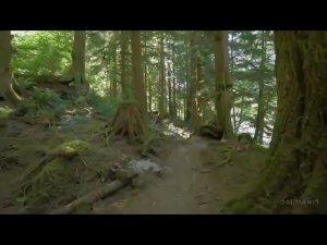 Эдгар Кейси Хроники Акаши