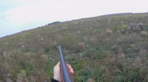 ТОЛЬКО ВЫСТРЕЛЫ!!Все выстрелы по КУРОПАТКЕ за сезон!КРАСИВЫЕ,ЗАМЕДЛЕННЫЕ моменты.Охота на куропатку