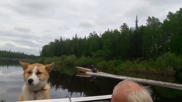 Чемдальск смотреть онлайн