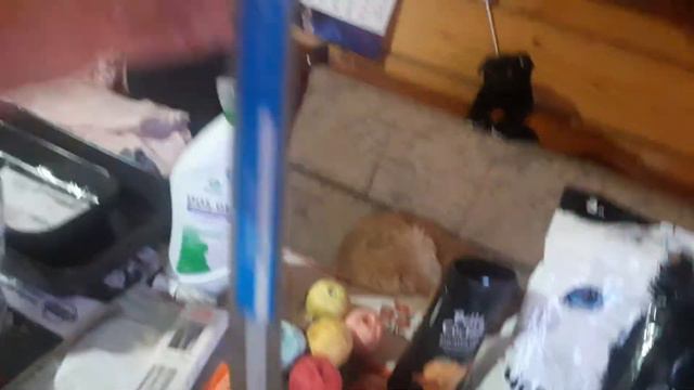 Татьянин дом / Шопинг дело серьёзное / Шарлотка с кофе-вкусно. смотреть онлайн