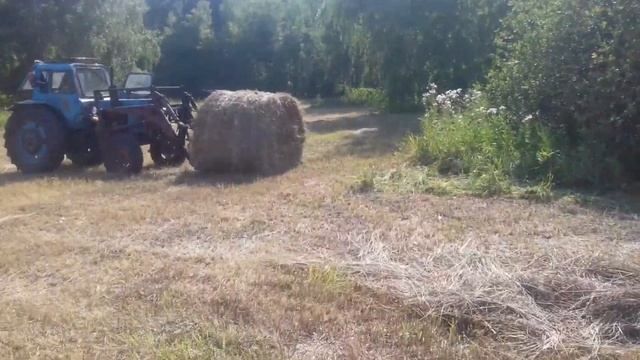 сенокос 2020 #2 смотреть онлайн