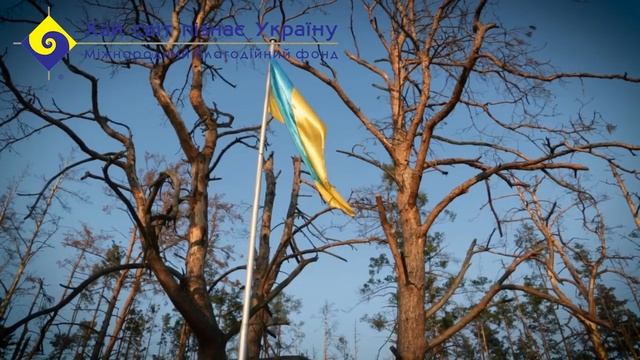 Мощун відбудова, Світова TOLOKA. Global Community смотреть онлайн