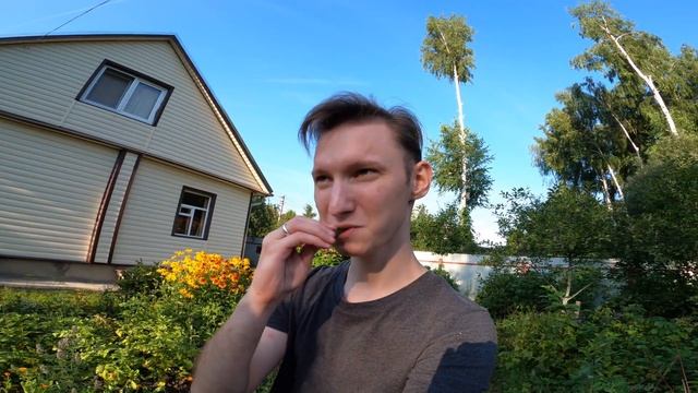 ДАЧА, КУПИЛ БЛЁСНА и новую камеру смотреть онлайн