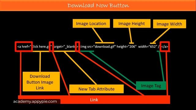 How to Create Download Button in HTML: Lesson 48 смотреть онлайн