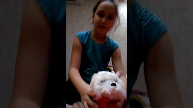 Самый кислый лимон и игрушки собачки смотреть онлайн