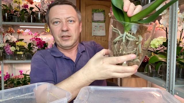 надёжная пересадка орхидеи для ленивого полива орхидей и для ЭКСПЕРИМЕНТА смотреть онлайн