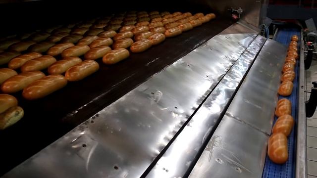 Производство хлеба на хлебзаводе "Дарница" в Пушкине смотреть онлайн
