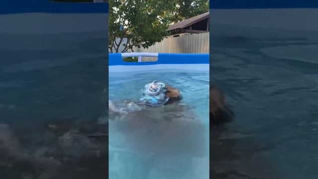 ТРЮКИ В БАССЕЙНЕ смотреть онлайн