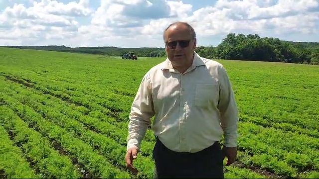 ГАВРИШ. КРЫМСК. смотреть онлайн