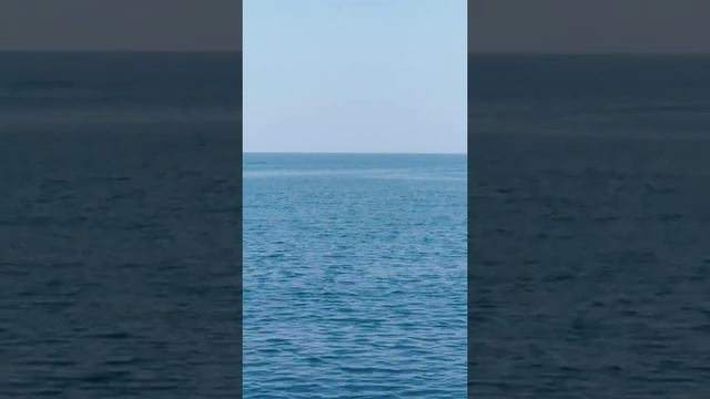 Встреча с дельфинами.