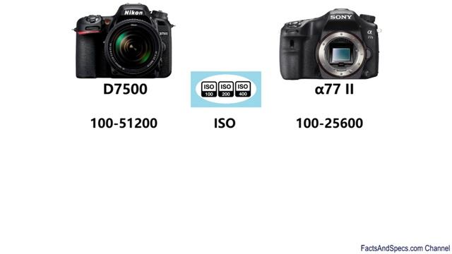 Nikon D7500 vs Sony α77 II смотреть онлайн