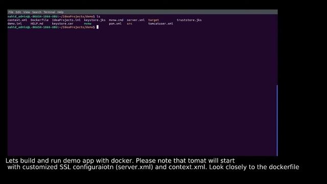 Part 3 # Spring Boot with SSL: Run Spring Boot with SSL Configuration in docker tomcat смотреть онлайн