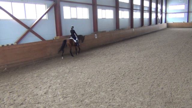 Задираева Елизавета, Топаз, ганноверо-буденовец, 10 лет, 172 вх, МП смотреть онлайн