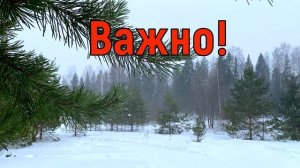22 февраля День Панкратия. Что нельзя делать 22 февраля. Народные традиции и приметы и суеверия