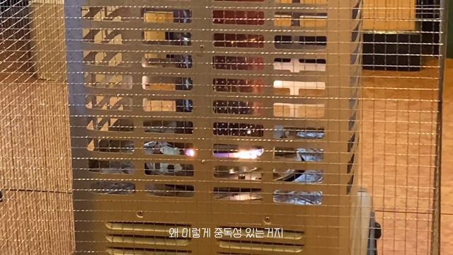 [VLOG] 나의 첫 앰프 YAMAHA THR10 II 구매 & 언박싱 | 낙원상가 | 을지면옥 | 을지다방 | смотреть онлайн