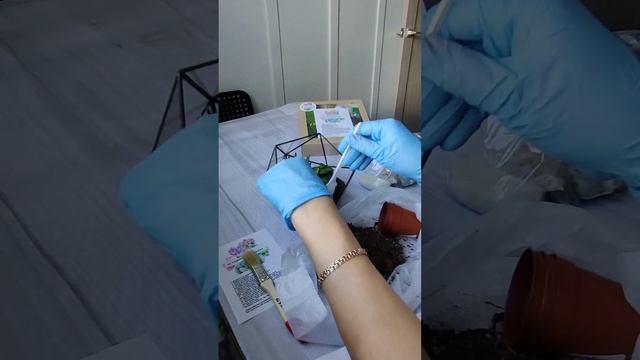 Видео - инструкция по созданию флорариума. Такой набор можно заказать на OZON смотреть онлайн