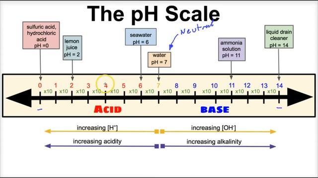 The pH Scale Explained смотреть онлайн