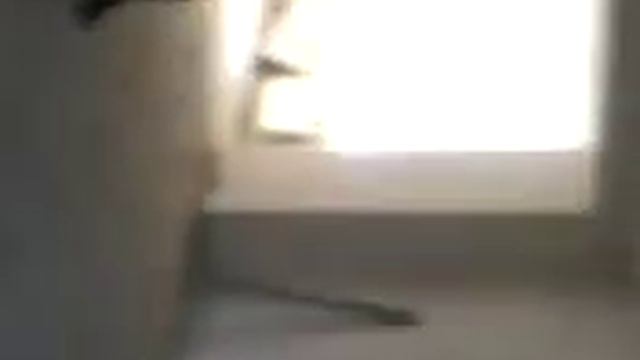 Разминка перед работой. смотреть онлайн