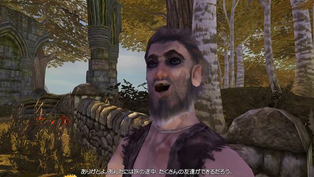 【実況プレイ】変なアメリカ人のFable冒険パート５ смотреть онлайн