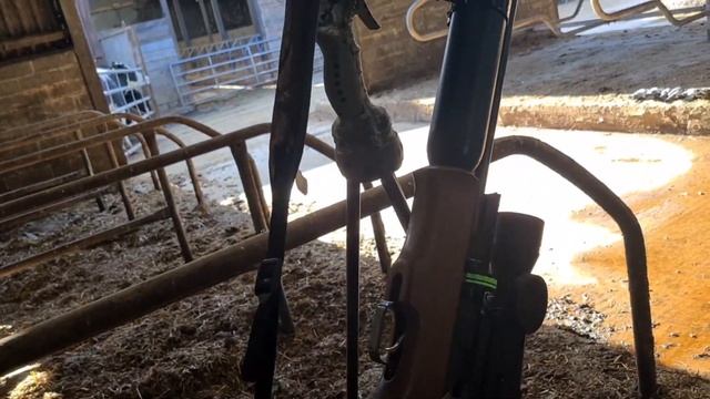 airgun hunting ratting and feral pigeons on a new farm permission using the theoben rapid 7 смотреть онлайн