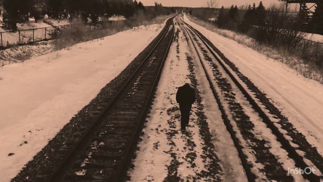 Things Have Changed (Времена изменились) & Maria Daines & Harmonica Tombo Unichromatic смотреть онлайн