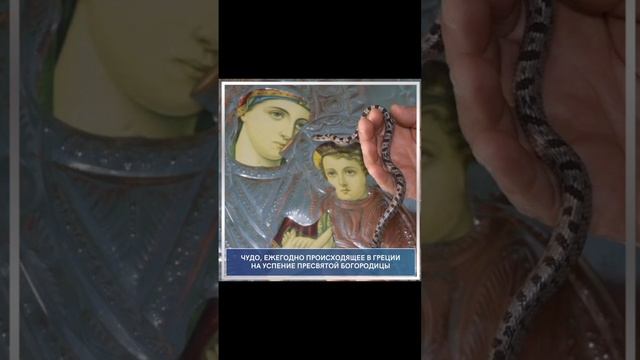 ЧУДО, ежегодно происхоящее на успение ПРЕСВЯТОЙ БОГОРОДИЦЫ смотреть онлайн