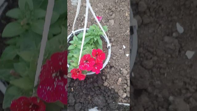 19 марта 2023 г. смотреть онлайн