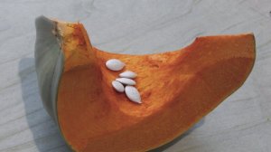 САМЫЕ  СЛАДКИЕ   И ВКУСНЫЕ СОРТА ТЫКВЫ ДЛЯ  СИБИРИ  . СОРТА ТЫКВЫ  СЕЗОН 2021Г