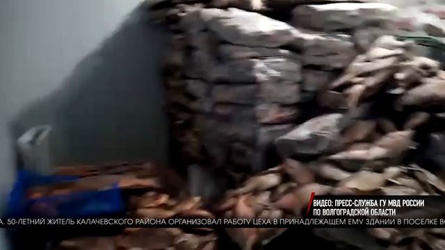 Сводка происшествий в Волгограде и Волгоградской области 1.06.2020 смотреть онлайн