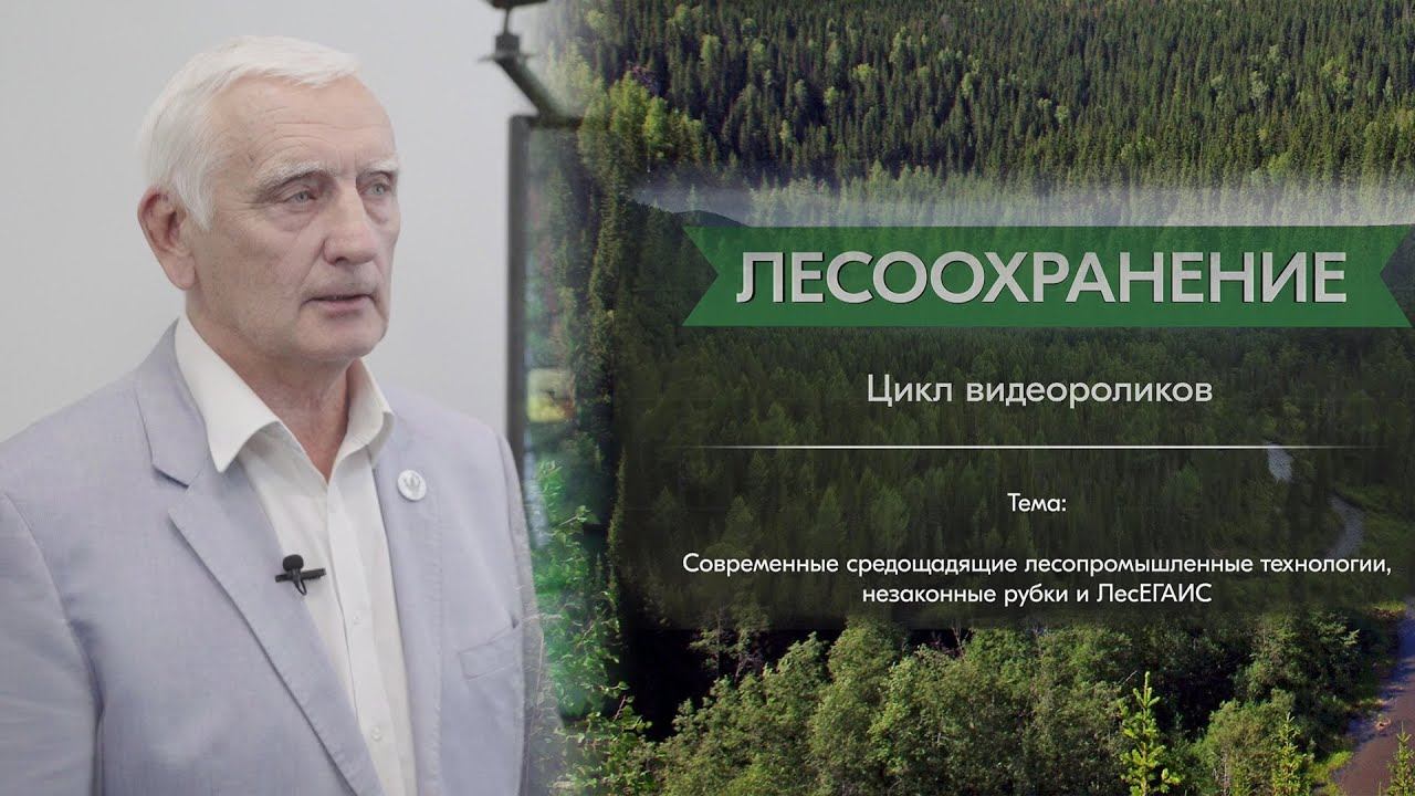 Борозна А.А.: современные средощадящие лесопромышленные технологии, незаконные рубки и ЛесЕГАИС смотреть онлайн