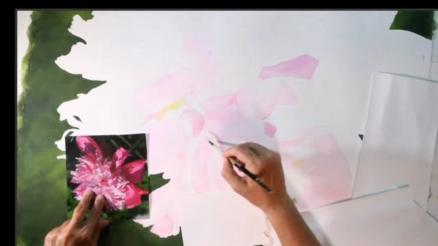 How to paint a Peony in watercolour Week 2 - live смотреть онлайн