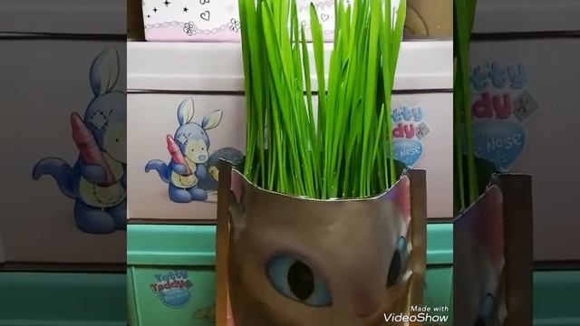 Выращиваем травку! ?????Драконьи причёски!! ??Дневная фурия! ?✌️ смотреть онлайн