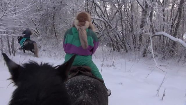 Конный прокат. Советы. смотреть онлайн
