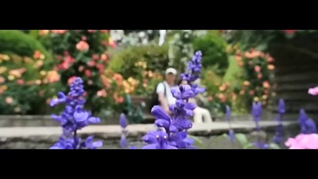 Nikon 1 V1 slow motion スローモーション　イチモンジセセリ смотреть онлайн