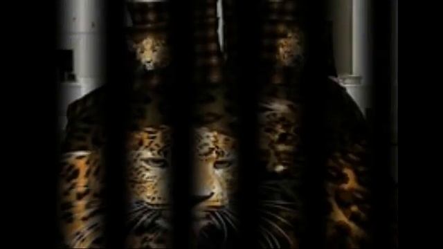 Постельное белье Постельное белье полиэстер смотреть онлайн