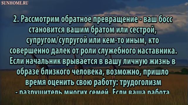 К чему снится Начальник сонник, толкование сна смотреть онлайн