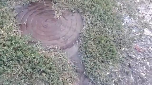 Водоконал .Волгоград. Красноармейский район смотреть онлайн