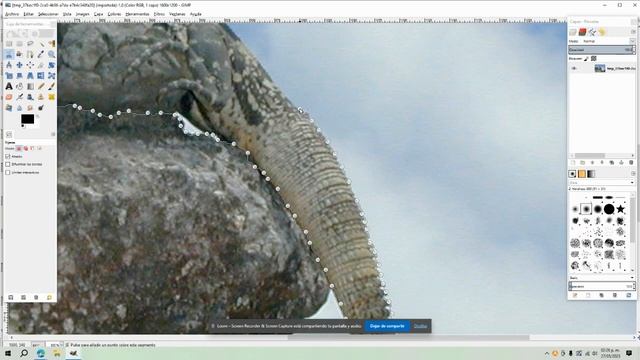 Tercer Trabajo De Gimp La Iguana