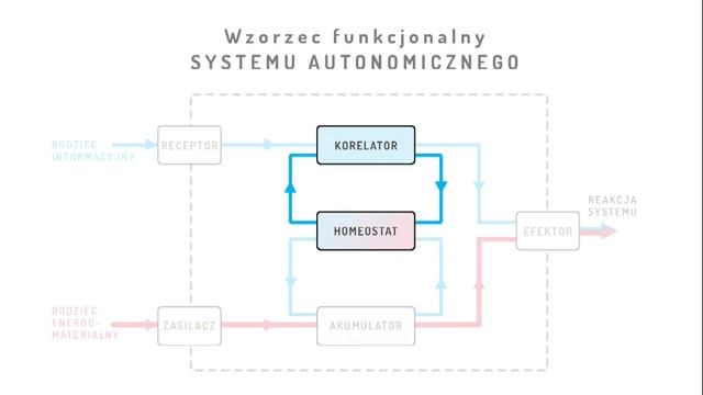 Polska - niepodległe państwo czy neokolonia? Wstęp do cybernetyki społecznej (system autonomiczny). смотреть онлайн